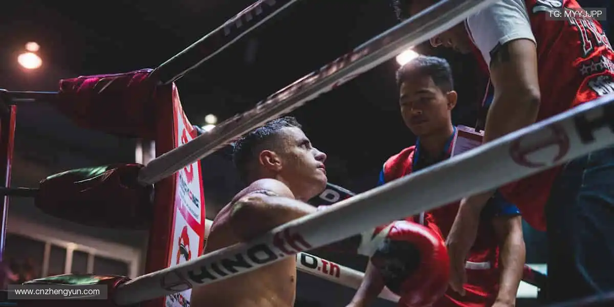 🏆 从看台到赛场，你的每一步都是传奇！🏃♂️